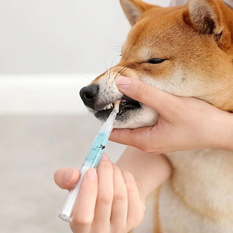 Pet Gel Pen