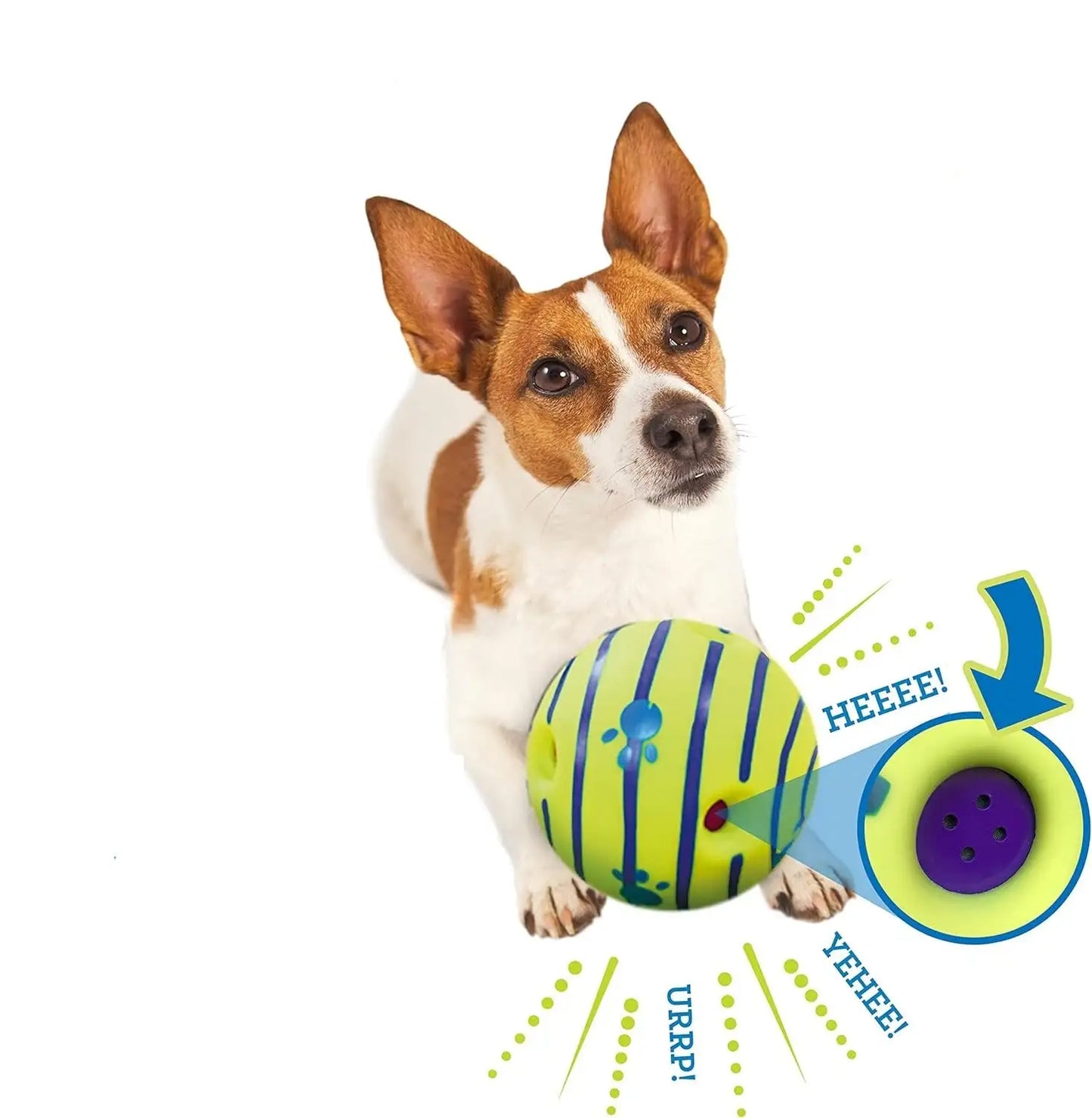 Wobble Glow Chew Ball