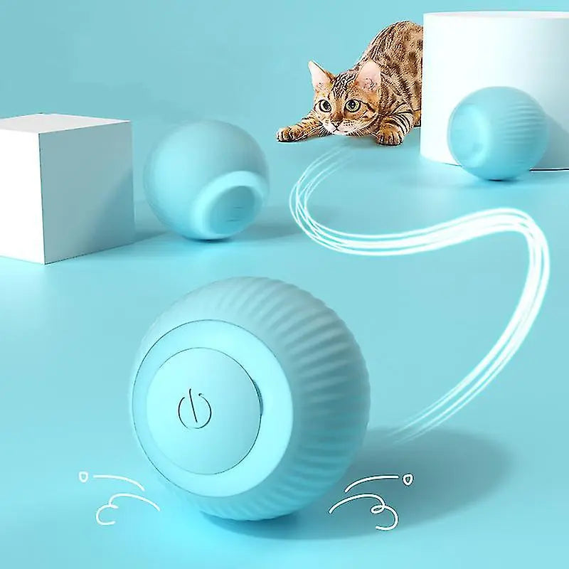 Interactive Cat Play Ball