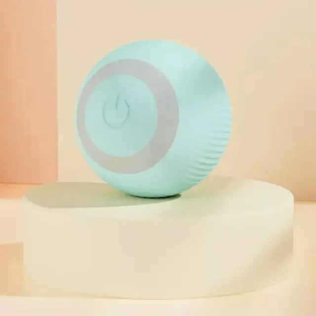 Smart Cat Toy Car