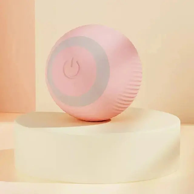 Smart Cat Toy Car