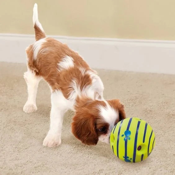 Wobble Glow Chew Ball