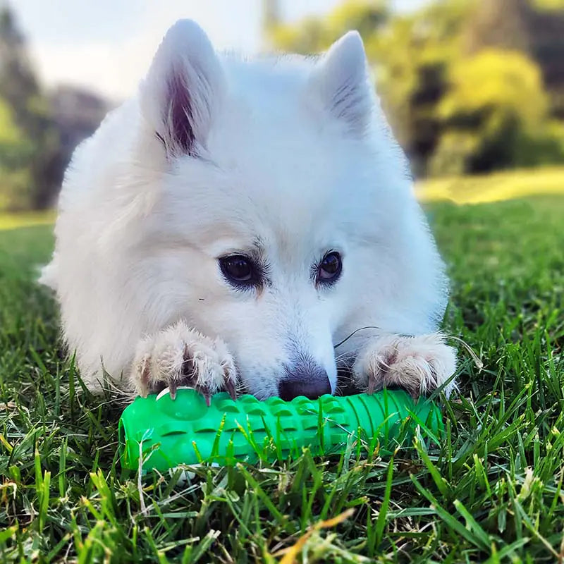 Gator Chew Toy