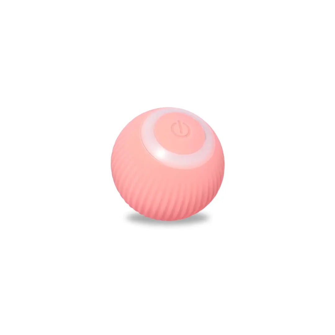 Interactive Cat Play Ball