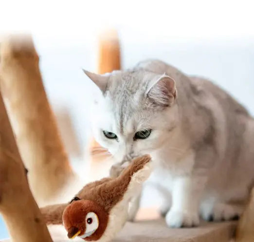 IPet Plush