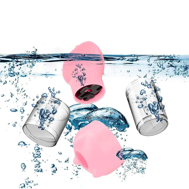 Pet Water Bottle