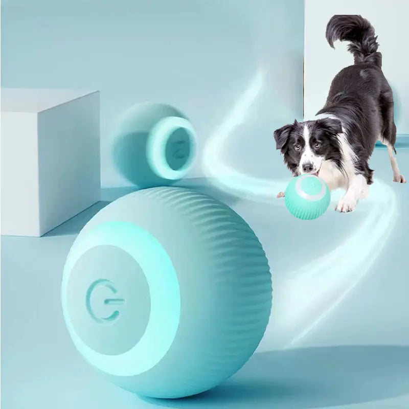 Smart Pet Ball