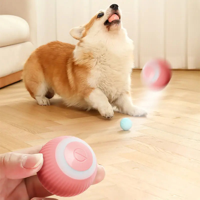 Smart Pet Ball