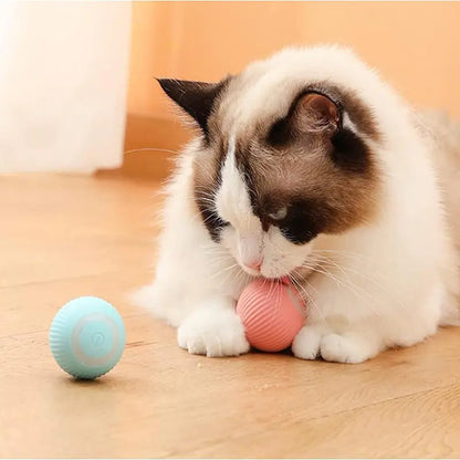 Electric Smart Ball Toys for Pets