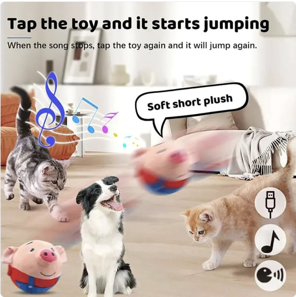 Interactive Squeaky Moving Dog Ball Toy