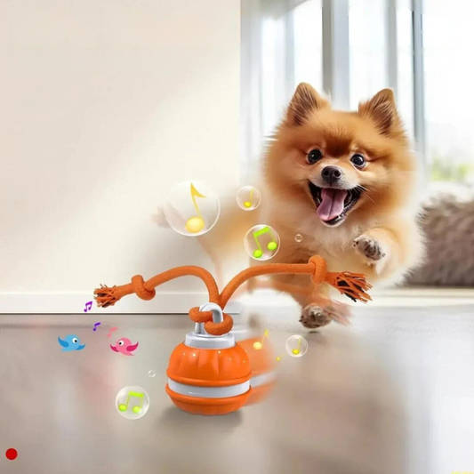 Peppy Paws Interactive Rolling Dog Ball